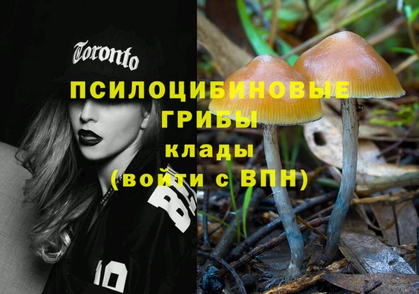 прущая мука Зеленокумск