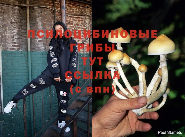 альфа пвп Заволжск