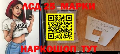 спиды Моздок