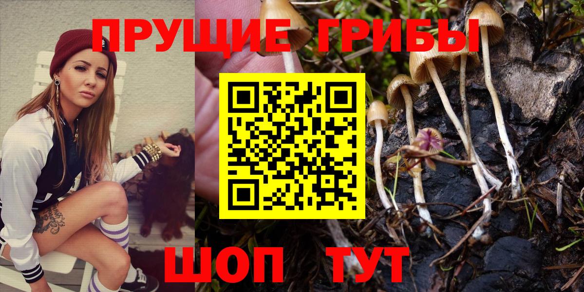 Первоуральск  Галлюциногенные грибы мухоморы  Псилоцибиновые грибы Psilocybe  Вход с VPN 